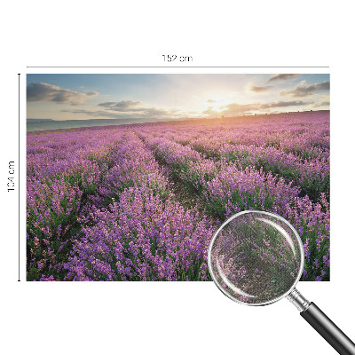 Papel de parede para criança campos de lavanda