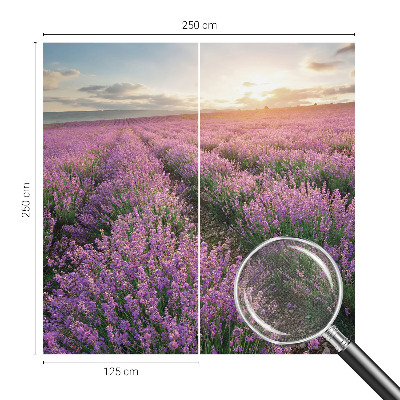 Papel de parede para criança campos de lavanda