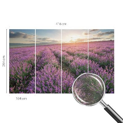 Papel de parede para criança campos de lavanda