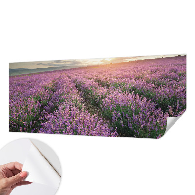 Papel de parede para criança campos de lavanda