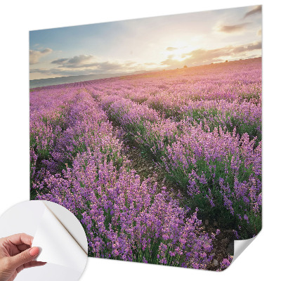 Papel de parede para criança campos de lavanda