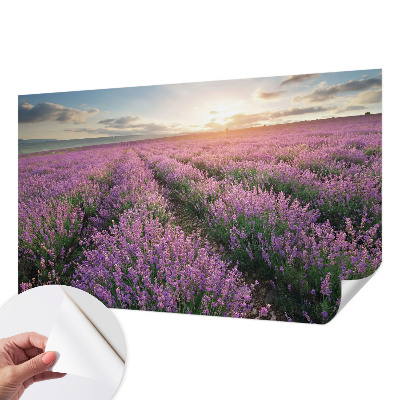 Papel de parede para criança campos de lavanda