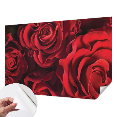Papel de parede infantil com padrão de rosas vermelhas