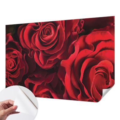 Papel de parede infantil Rosas vermelhas