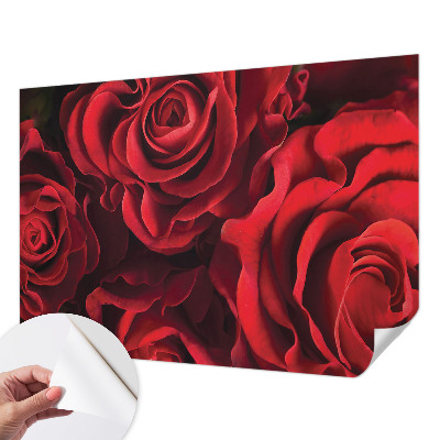 Papel de parede infantil Rosas vermelhas