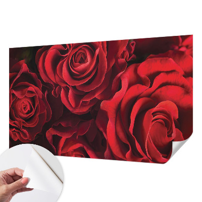 Papel de parede infantil Rosas vermelhas