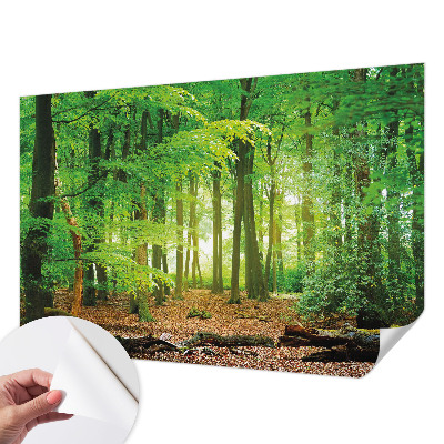 Papel de parede autocolante para sala com padrão de floresta verde