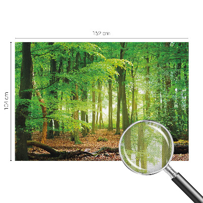 Papel de parede autocolante para sala Floresta verde