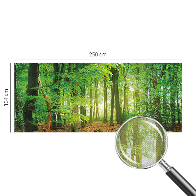 Papel de parede autocolante para sala Floresta verde