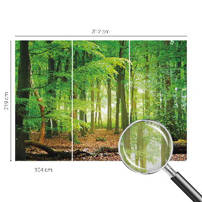 Papel de parede autocolante para sala Floresta verde