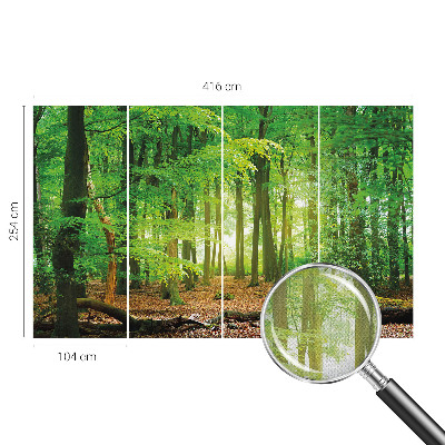Papel de parede autocolante para sala Floresta verde