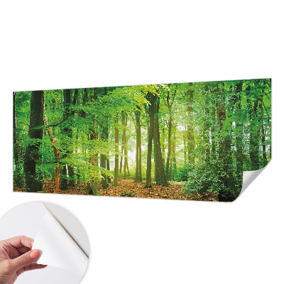 Papel de parede autocolante para sala Floresta verde