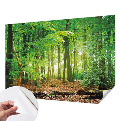 Papel de parede autocolante para sala Floresta verde