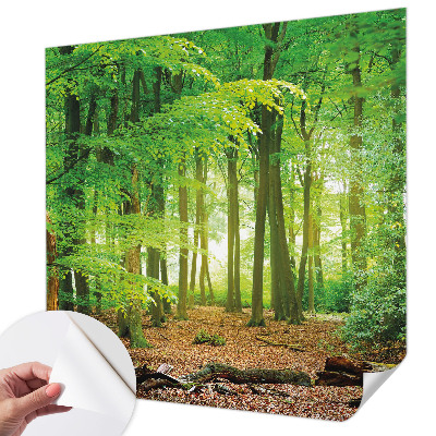 Papel de parede autocolante para sala Floresta verde