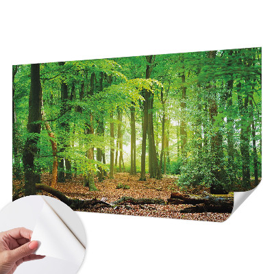 Papel de parede autocolante para sala Floresta verde