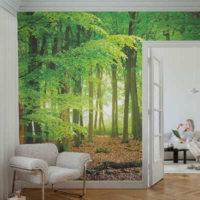 Papel de parede autocolante para sala Floresta verde