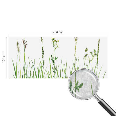 Autocolante de parede fotográfico com motivo de flora sutil