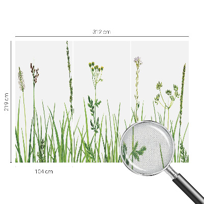 Autocolante de parede fotográfico com motivo de flora sutil