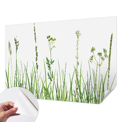 Autocolante de parede fotográfico com motivo de flora sutil