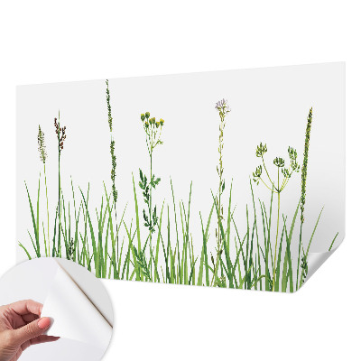 Autocolante de parede fotográfico com motivo de flora sutil