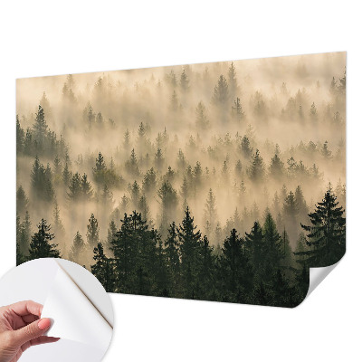Papel de parede infantil Névoa da floresta
