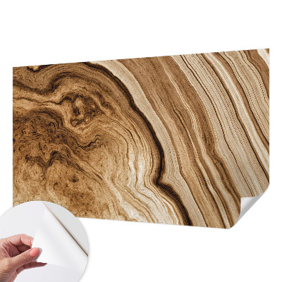 Papel de parede autocolante para sala Padrão de madeira