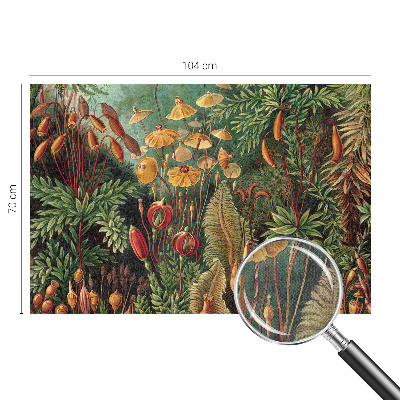 Autocolante de parede fotográfico Jardim exótico
