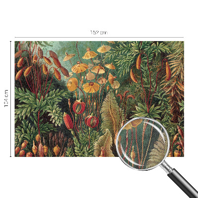 Autocolante de parede fotográfico Jardim exótico