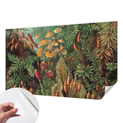 Autocolante de parede fotográfico Jardim exótico