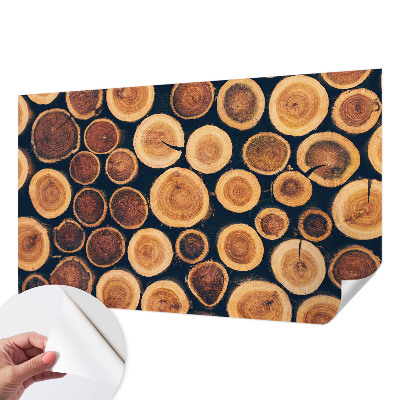 Papel de parede 3D Círculos de madeira