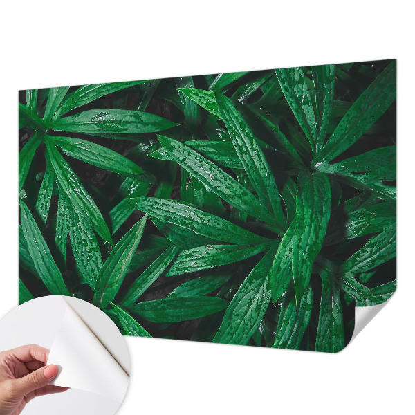 Papel de parede autocolante com estampa de vegetação natural