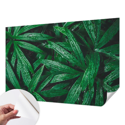 Papel de parede autocolante com estampa de vegetação natural