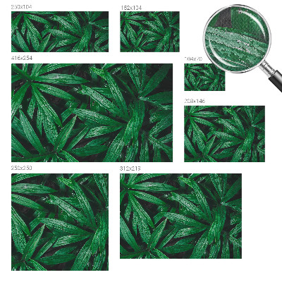 Papel de parede autocolante vegetação natural