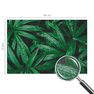 Papel de parede autocolante vegetação natural