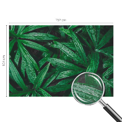 Papel de parede autocolante vegetação natural