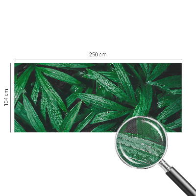 Papel de parede autocolante vegetação natural