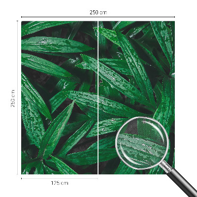 Papel de parede autocolante vegetação natural