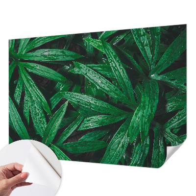 Papel de parede autocolante vegetação natural