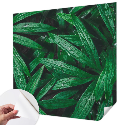 Papel de parede autocolante vegetação natural