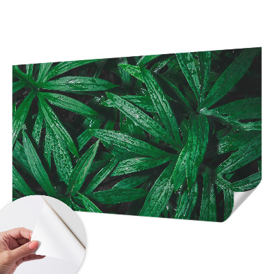 Papel de parede autocolante vegetação natural