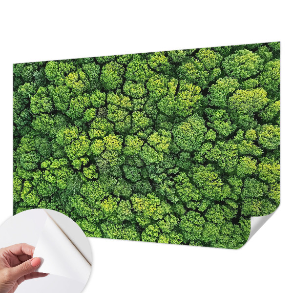 Papel de parede 3D Panorama da floresta