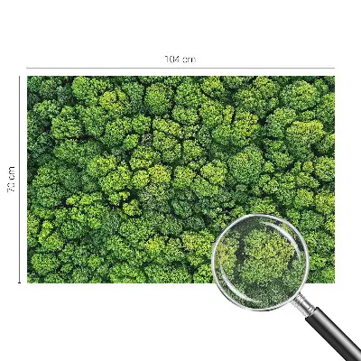 Papel de parede 3D com panorama da floresta
