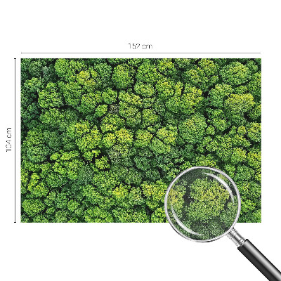 Papel de parede 3D Panorama da floresta