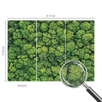 Papel de parede 3D com panorama da floresta