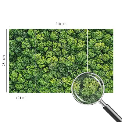 Papel de parede 3D com panorama da floresta