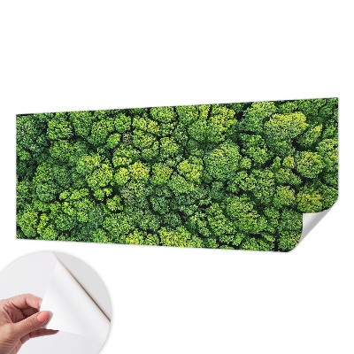 Papel de parede 3D Panorama da floresta