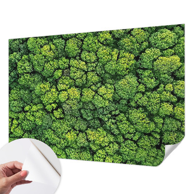 Papel de parede 3D Panorama da floresta