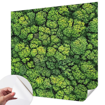 Papel de parede 3D Panorama da floresta