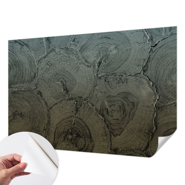 Papel de parede 3D com padrão de anéis de madeira