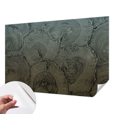 Papel de parede 3D com padrão de anéis de madeira